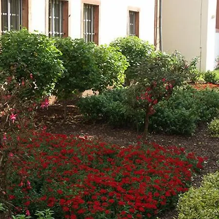 Kloster Eberbach 3* Eltville am Rhein