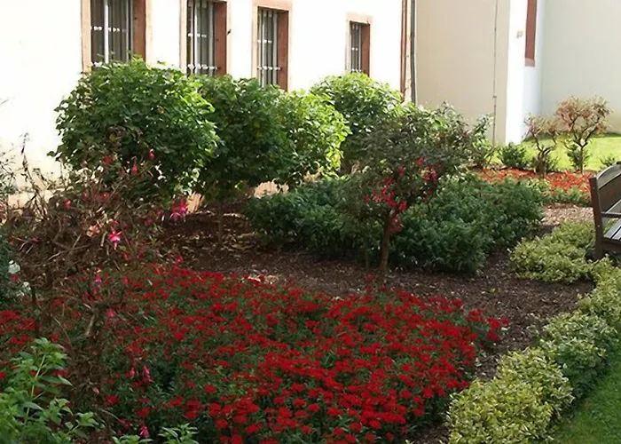 Kloster Eberbach 3* Eltville am Rhein